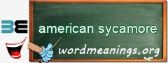 WordMeaning blackboard for american sycamore